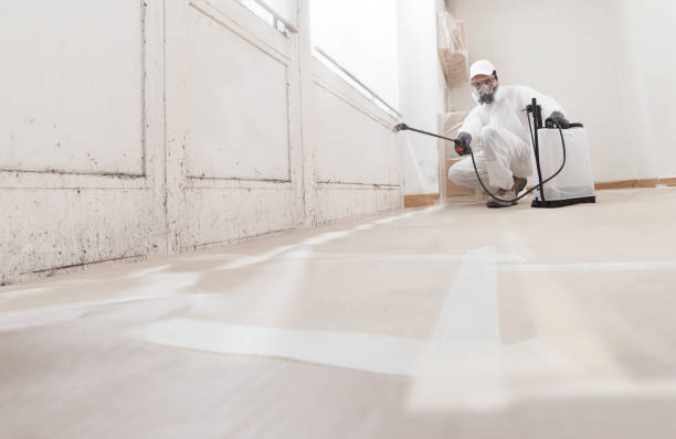 24/7 Emergency Mold Testing experts in Georgetown, TX