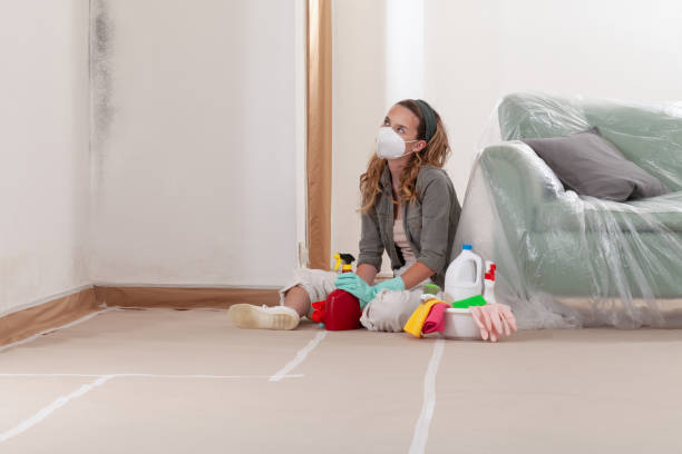 Trusted Mold Remediation service in Georgetown, TX - Cheap Mold Removal